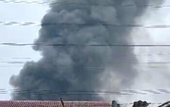 Screenshot 2024 02 29 14 15 55 915 com.simplemobiletools.gallery.pro