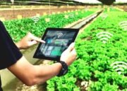 Peran Penting Generasi Z Dalam Sektor Pertanian Indonesia