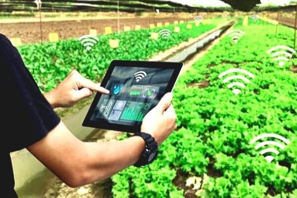 Peran Penting Generasi Z Dalam Sektor Pertanian Indonesia