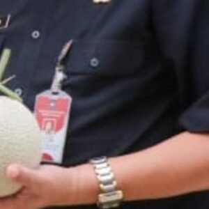 Melon PT. Sweet Greens Indonesia Purwakarta Tembus Surabaya dan Bali, Tahun 2024 Tembus Pasar Singapura