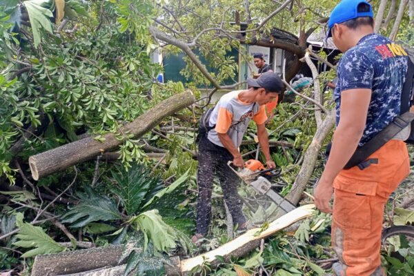 Cuaca Buruk, Pemda Lobar Minta Masyarakat Tetap Waspada