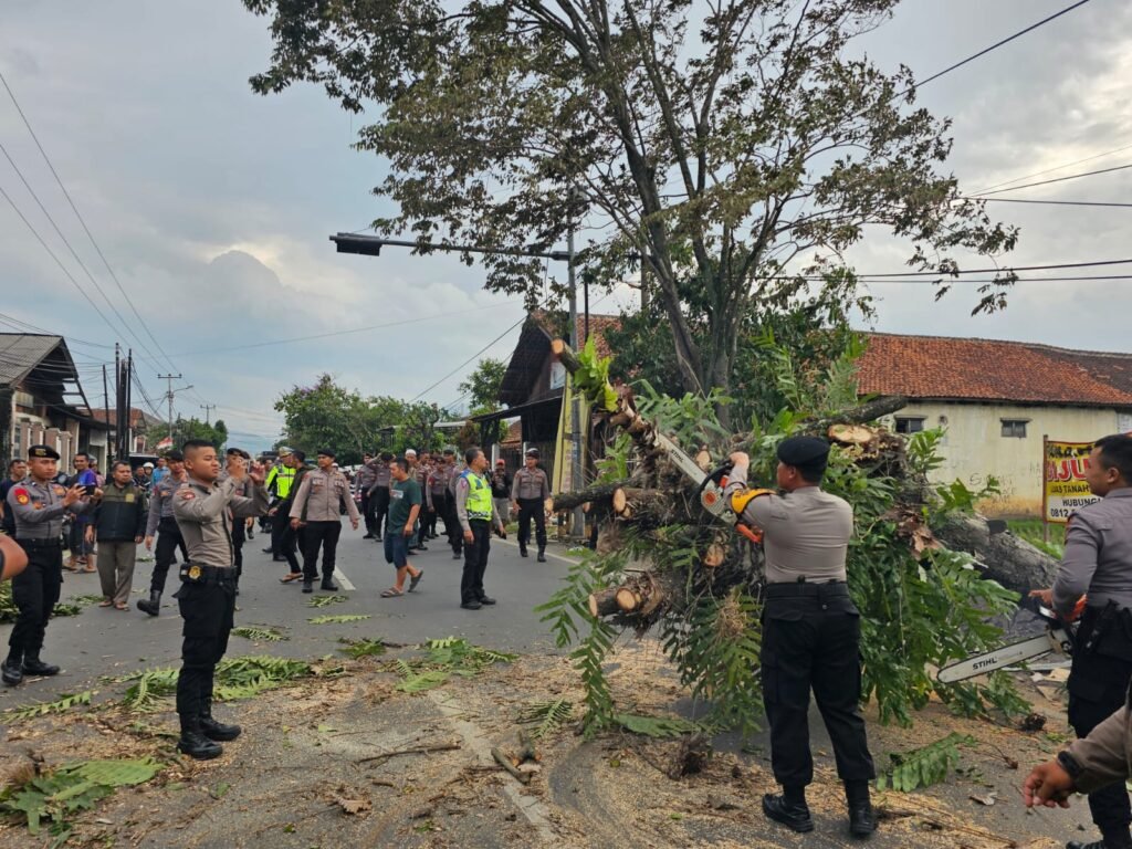 Arus Dialihkan, Pohon Tumbang Tutup Jalan Raya Kadungora Garut