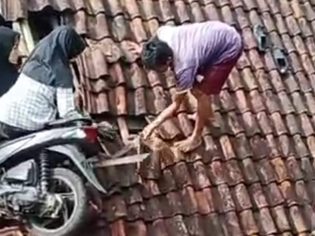 Viral! Bocah SD Bawa Motor “Nyangkut” di Genteng Rumah Warga di Tasikmalaya