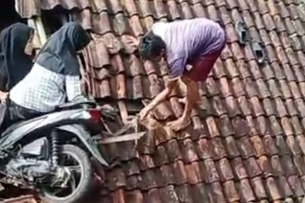 Viral! Bocah SD Bawa Motor “Nyangkut” di Genteng Rumah Warga di Tasikmalaya