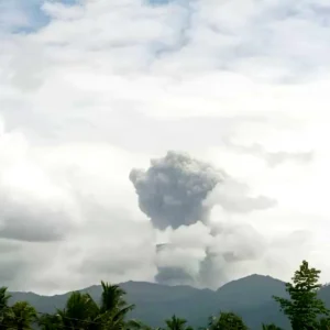 IMG 20240316 WA0002 1.jpg (1)