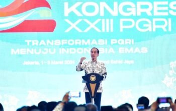 IMG2024 03 03 16 12 01