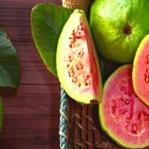 Jus Jambu Biji Bantu Pulihkan DBD Bukan Mengobati