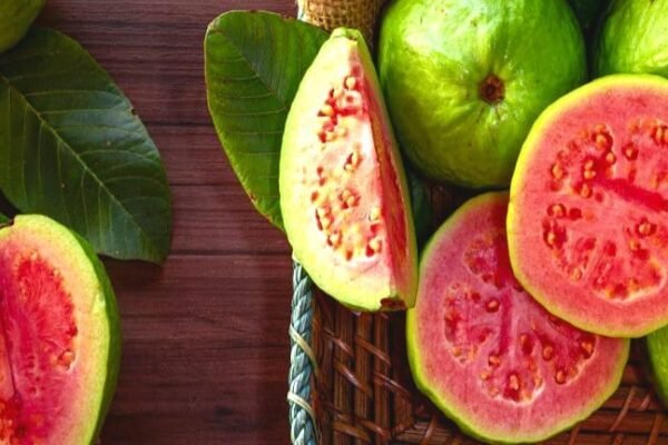 Praktisi Kesehatan: Jus Jambu Biji Bantu Pulihkan DBD Bukan Mengobati