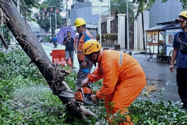 Tingginya Curah Hujan dan Angin Kencang BPBD Purwakarta Dalam Kondisi Siaga