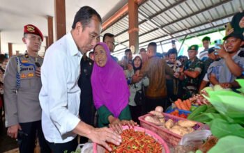 Screenshot 2024 03 20 20 23 56 578 com.android.chrome