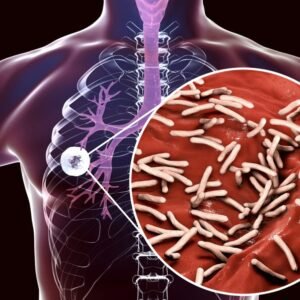 Terobosan Baru Terapi TB
