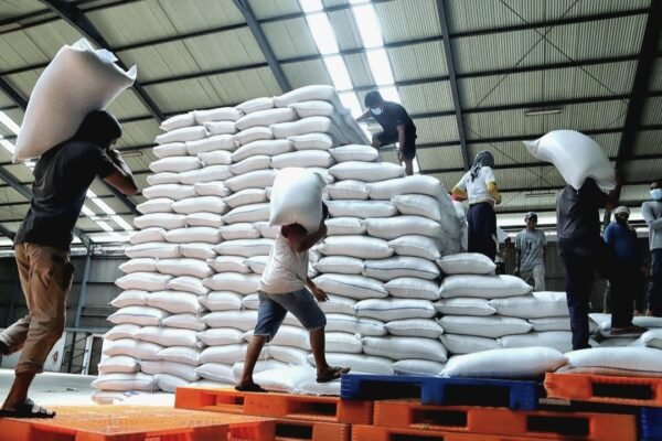 Perum Bulog Tambah Kontrak Impor 300 Ribu Ton Beras untuk Penguatan Stok Pangan Nasional