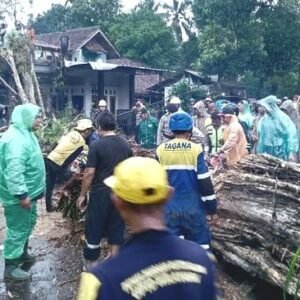 Pohon tumbang tutupi ruas jalan Tasik - Garut