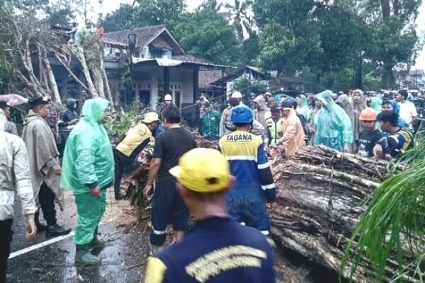 Diterpa Angin Kencang Pohon Tumbang  Bikin Macet Jalan Tasik – Garut
