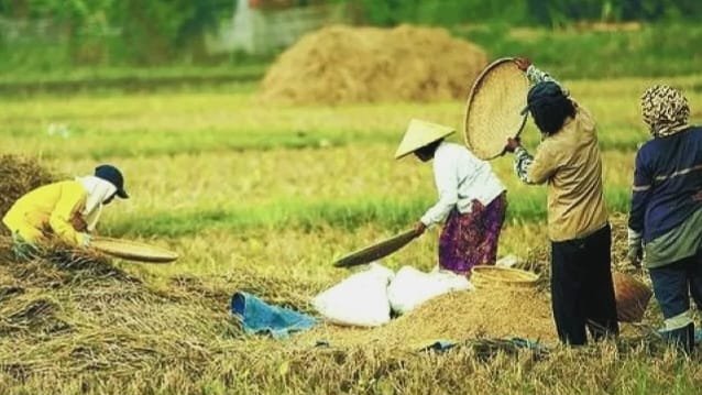 Kemandirian Pangan Dasar Kedaulatan Bangsa