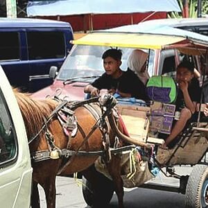 Pemkab Garut beri kompensasi RP.700.000,00 bagi Kusir delaman di Jalan Nasional