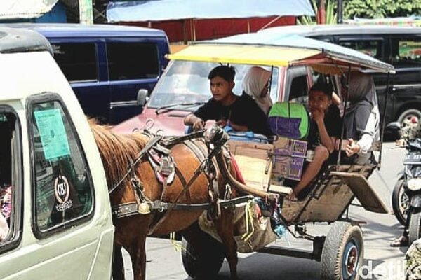 Pemkab Garut Beri Kompensasin Rp. 700.000,00 Bagi Delman di Limbangan dan Malangbong