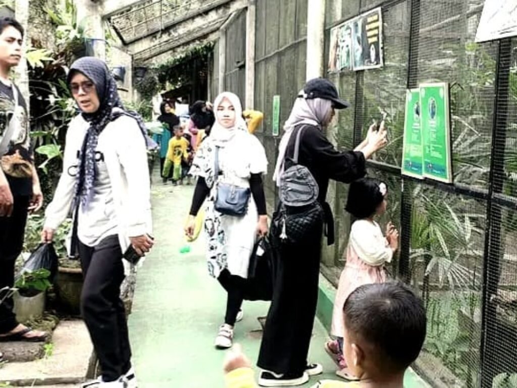 Wajib Kunjungi Taman Margasatwa Cikembulan Satu-satunya Wisata Edukasi Satwa di Garut