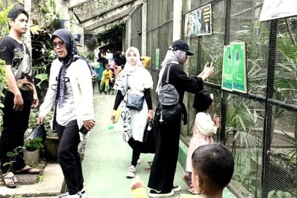 Wajib Kunjungi Taman Margasatwa Cikembulan Satu-satunya Wisata Edukasi Satwa di Garut
