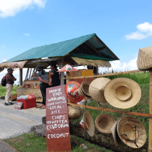 Ragam Side Event di Ajang World Water Forum ke-10 di Bali
