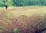 Petani Menjerit Kekurangan Air, Sekdis PUTR KBB “D.I Rajamandala Sudah Diajukan Melalui DAK ke Pusat”