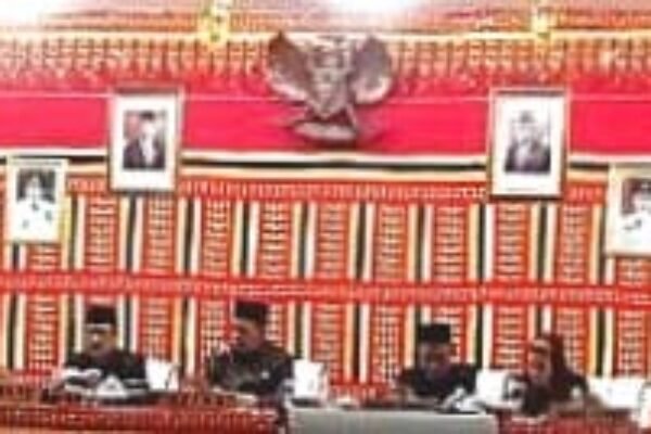 Rapat Paripurna DPRD Lamsel, Pansus Berikan Rekomendasi Optimalkan Capai PAD Lewat Inovasi dan Langkah Strategis