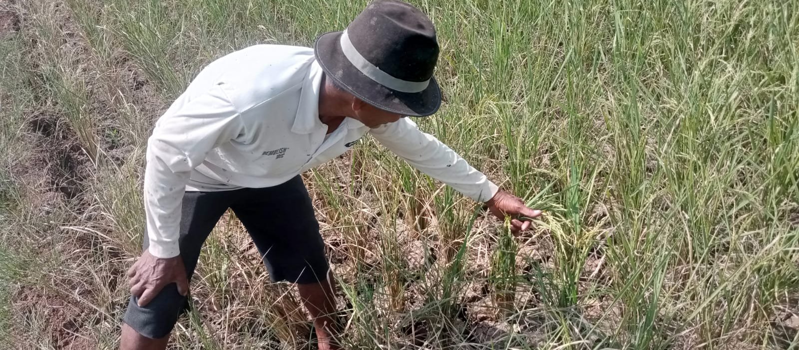 Jabar Siaga Darurat Kekeringan, 12 Daerah Terdampak dan 1 Daerah Berstatus Tanggap Darurat