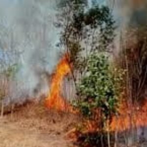 ingkatkan kewaspadaan terhadap potensi kebakaran yang dapat terjadi saat musim kemarau mencapai puncaknya, yang diprediksi terjadi pada bulan Juni hingga Agustus tahun ini