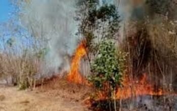 ingkatkan kewaspadaan terhadap potensi kebakaran yang dapat terjadi saat musim kemarau mencapai puncaknya, yang diprediksi terjadi pada bulan Juni hingga Agustus tahun ini