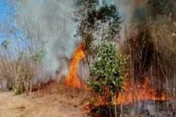 Dinas Kebakaran dan Penyelamatan Kabupaten Purwakarta: Kawasan Hutan dan Perkebunan Rawan Kebakaran