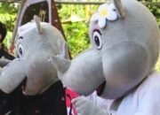 KPU Purwakarta Luncurkan Maskot dan Jingle Pemilihan Bupati dan Wakil Bupati 2024 Karya Warga Pribumi