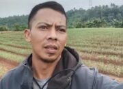 Koordinator BP3K Cipatat Ungkap Puluhan Hektar Sawah di Cipatat Berubah Jadi Ladang Kering Akibat Pendangkalan Saluran Irigasi