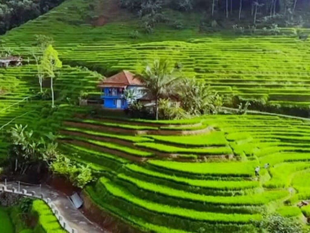 Pesona Keindahan Kecamatan Tersepi di Tasikmalaya