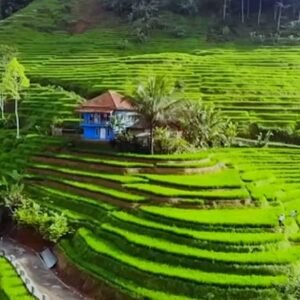 Pesona Keindahan Kecamatan Tersepi di Tasikmalaya