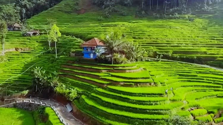 Pesona Keindahan Kecamatan Tersepi di Tasikmalaya