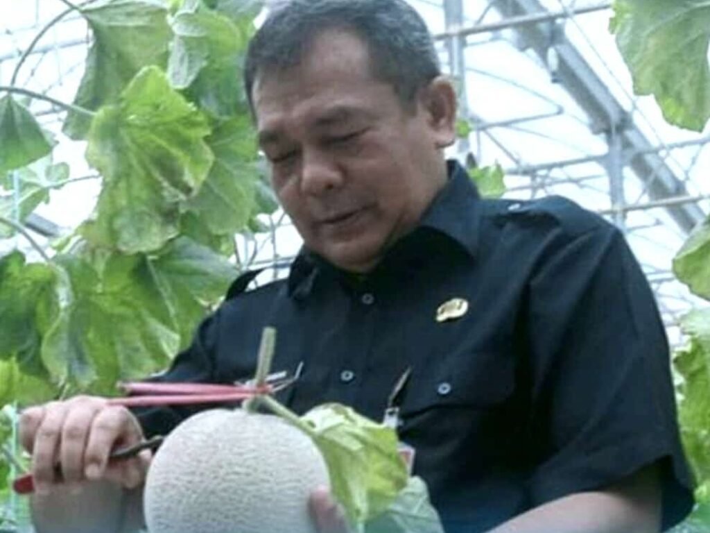 Pengembangan Komoditas Unggulan Hasil Pertanian di Purwakarta Mendorong Pertumbuhan Ekonomi Desa