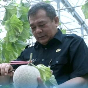 Pengembangan Komoditas Unggulan Hasil Pertanian di Purwakarta Mendorong Pertumbuhan Ekonomi Desa