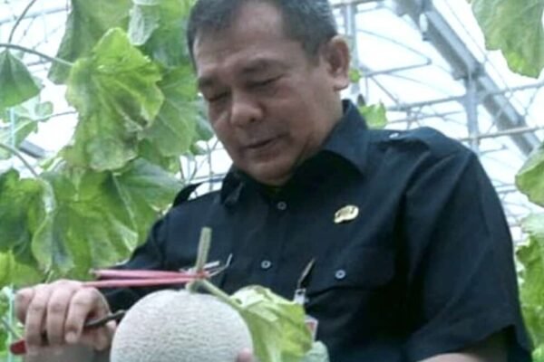 Pengembangan Komoditas Unggulan Hasil Pertanian di Purwakarta Mendorong Pertumbuhan Ekonomi Desa