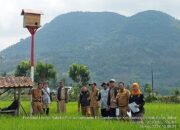 Gapoktan Mekar Tani Desa Ganda Mekar Mengikuti Perlombaan Penilaian RUBURHA dalam Perayaan HUT RI Ke-79