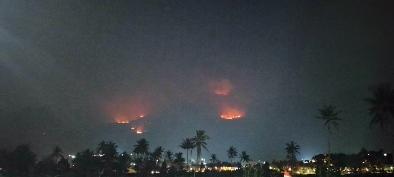 Kebakaran Melanda Gunung Guntur