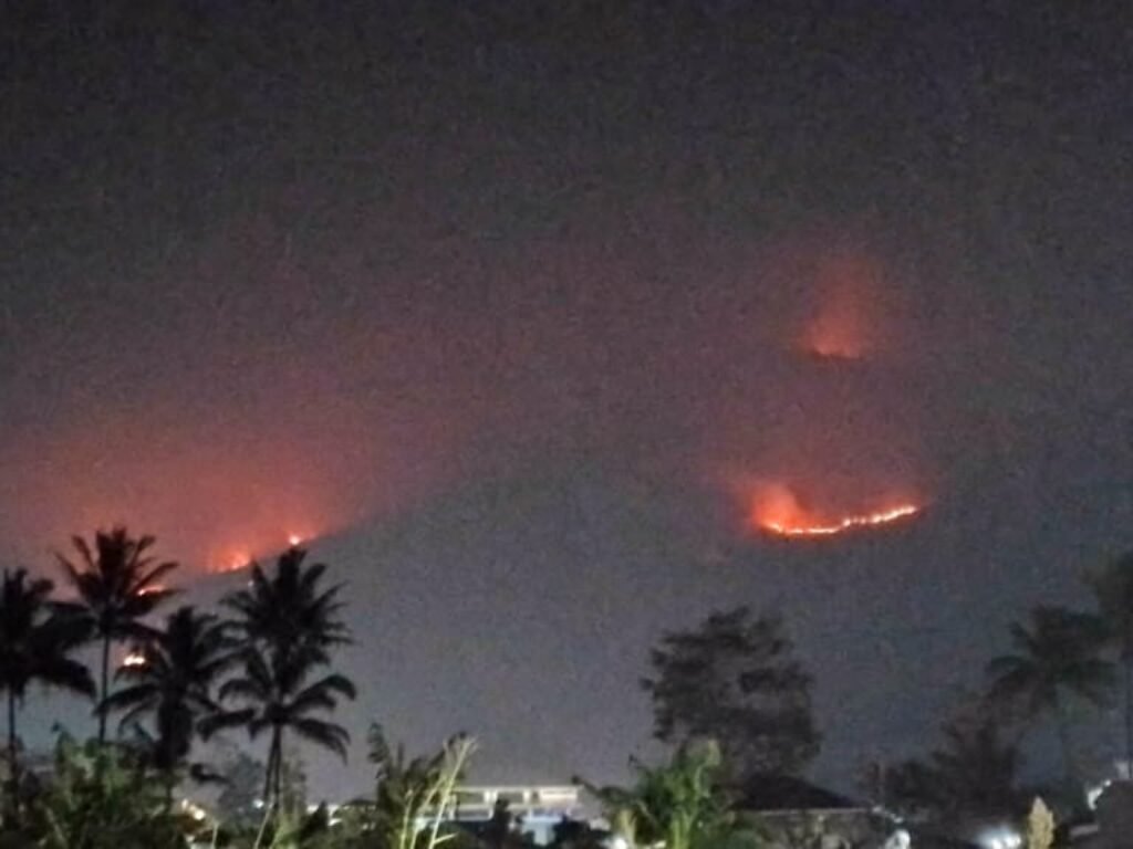 Kebakaran Melanda Gunung Guntur di Kecamatan Tarogong Kaler, Kabupaten Garut