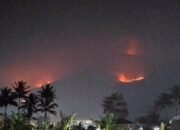 Kebakaran Melanda Gunung Guntur di Kecamatan Tarogong Kaler, Kabupaten Garut