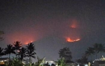Kebakaran Melanda Gunung Guntur di Kecamatan Tarogong Kaler, Kabupaten Garut