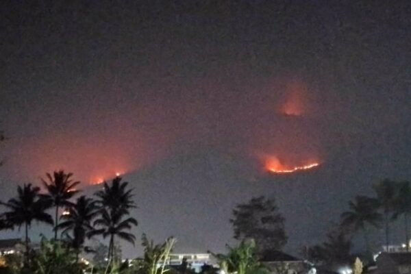 Kebakaran Melanda Gunung Guntur di Kecamatan Tarogong Kaler, Kabupaten Garut