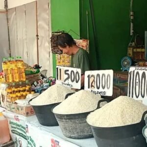 BPS Mencatat Peningkatan Harga Beras dan Gabah di Juli 2024