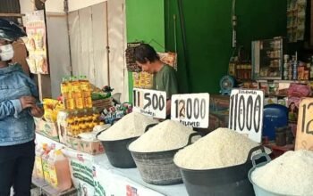 BPS Mencatat Peningkatan Harga Beras dan Gabah di Juli 2024