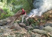 Desa Kesugihan Peringati Kemerdekaan Dengan Gerakan Bersih Sungai Membangun Rasa Gotongroyong dan Melestarikan Alam