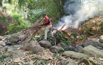 Desa Kesugihan peringati kemerdekaan dengan gerakan bersih sungai membangun rasa gotongroyong dan melestarikan alam