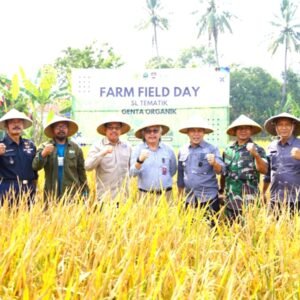 Penggunaan pupuk organik di Kecamatan Cipeundey, Kabupaten Bandung Barat, berhasil meningkatkan produksi padi hingga 2 ton per hektarnya. Hal ini terungkap dalam acara Farm Field Day (FFD)