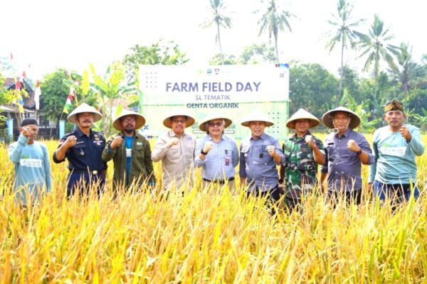 Pupuk Organik Berhasil Meningkatkan Produksi Padi di KBB Meningkat Hingga 2 Ton Per Hektare